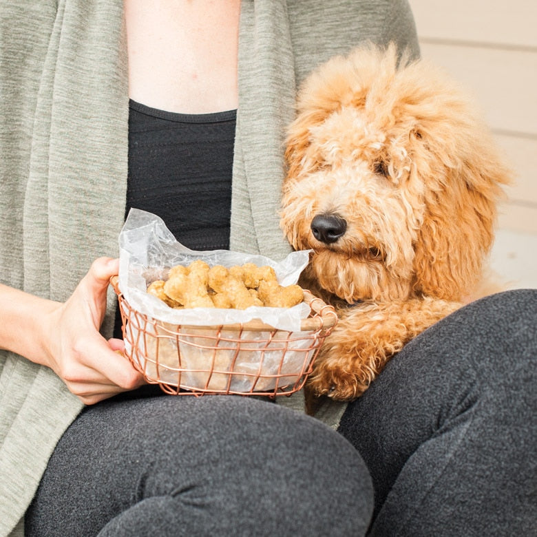 Plaque à friandises pour chien ! - Nordic Ware - Moule à gâteaux - - La Guilde Culinaire