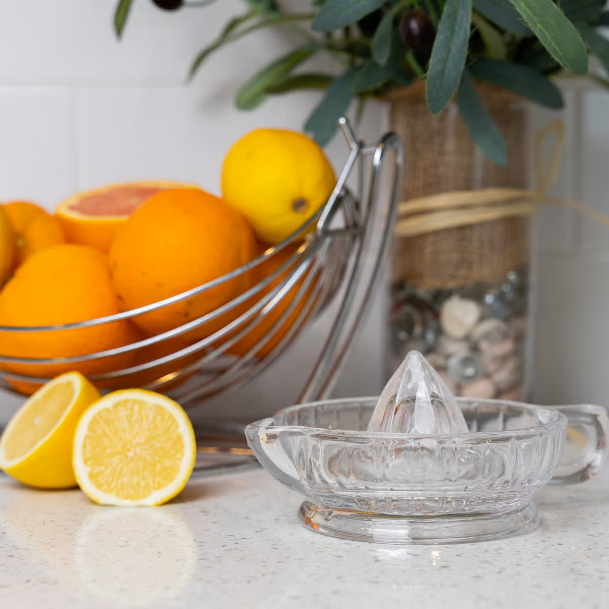 Presse-agrumes en verre - Fox Run - Presse-agrume - - La Guilde Culinaire