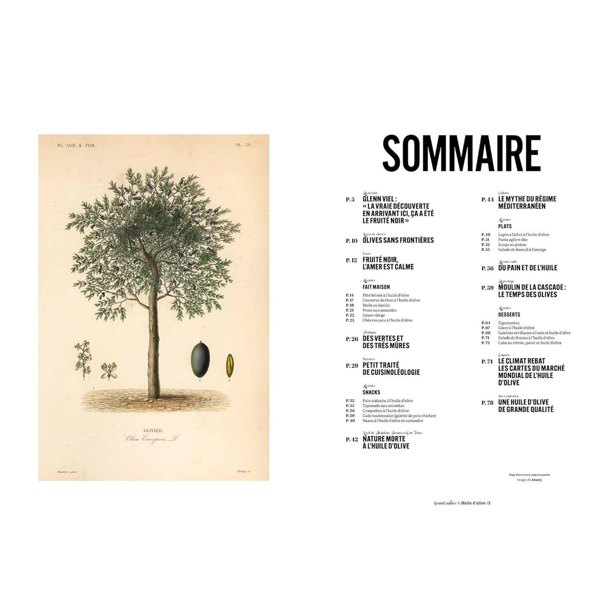 Les Grands Cahiers 180°C : Huile d'olive - Hachette Ed. - Livre de cuisine - - La Guilde Culinaire
