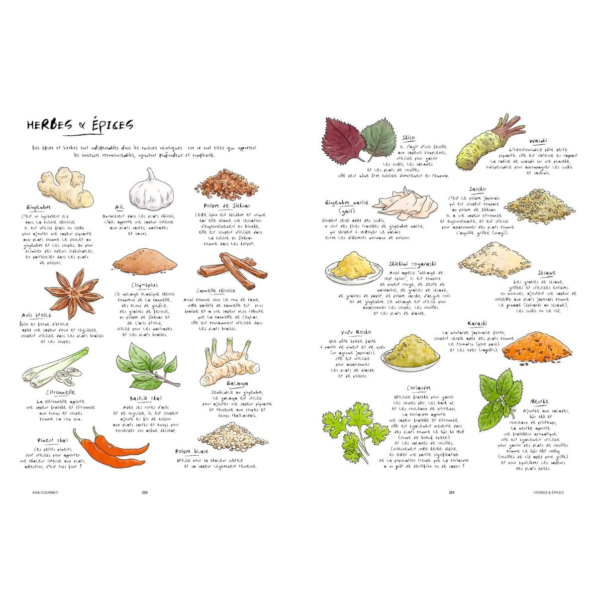 Asia Gourmet ! - Hachette Ed. - Livre de cuisine - - La Guilde Culinaire