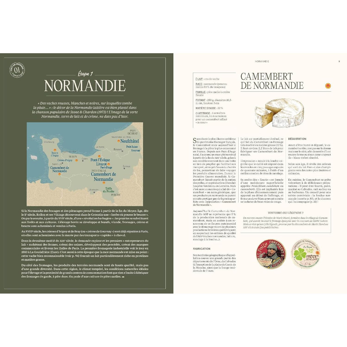 Tout un fromage : L'encyclopédie calée et décalée du fromage - Hachette Ed. - Livre de cuisine - - La Guilde Culinaire