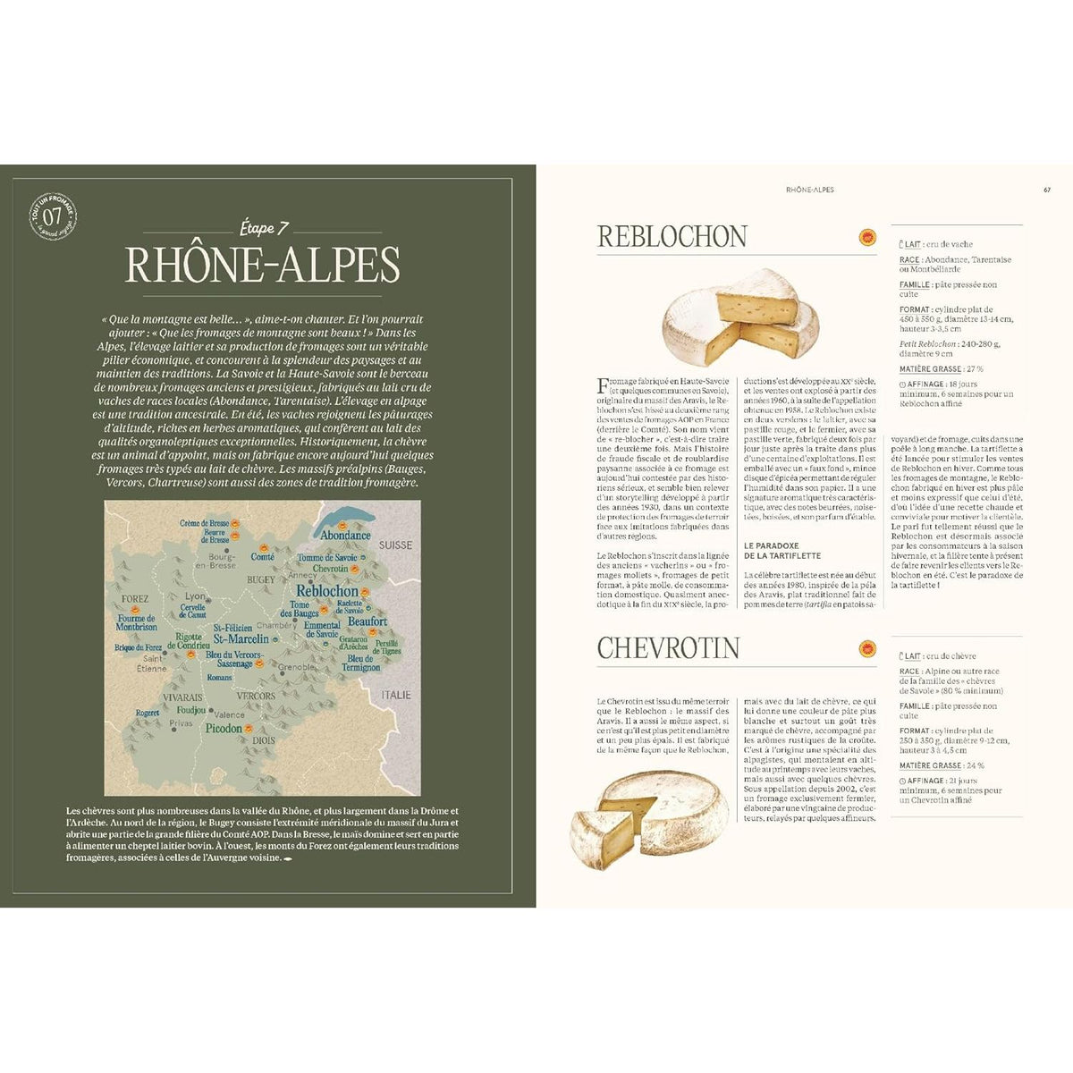 Tout un fromage : L'encyclopédie calée et décalée du fromage - Hachette Ed. - Livre de cuisine - - La Guilde Culinaire