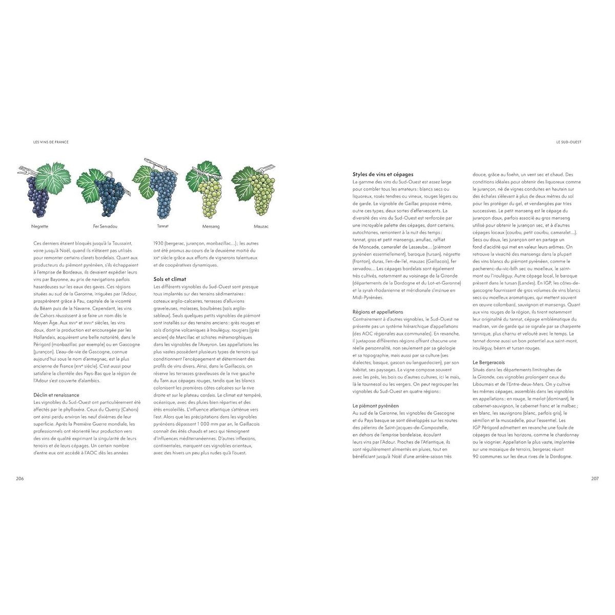 La petite encyclopédie Hachette des vins NED - Hachette Ed. - Livre d'alcool et boisson - - La Guilde Culinaire