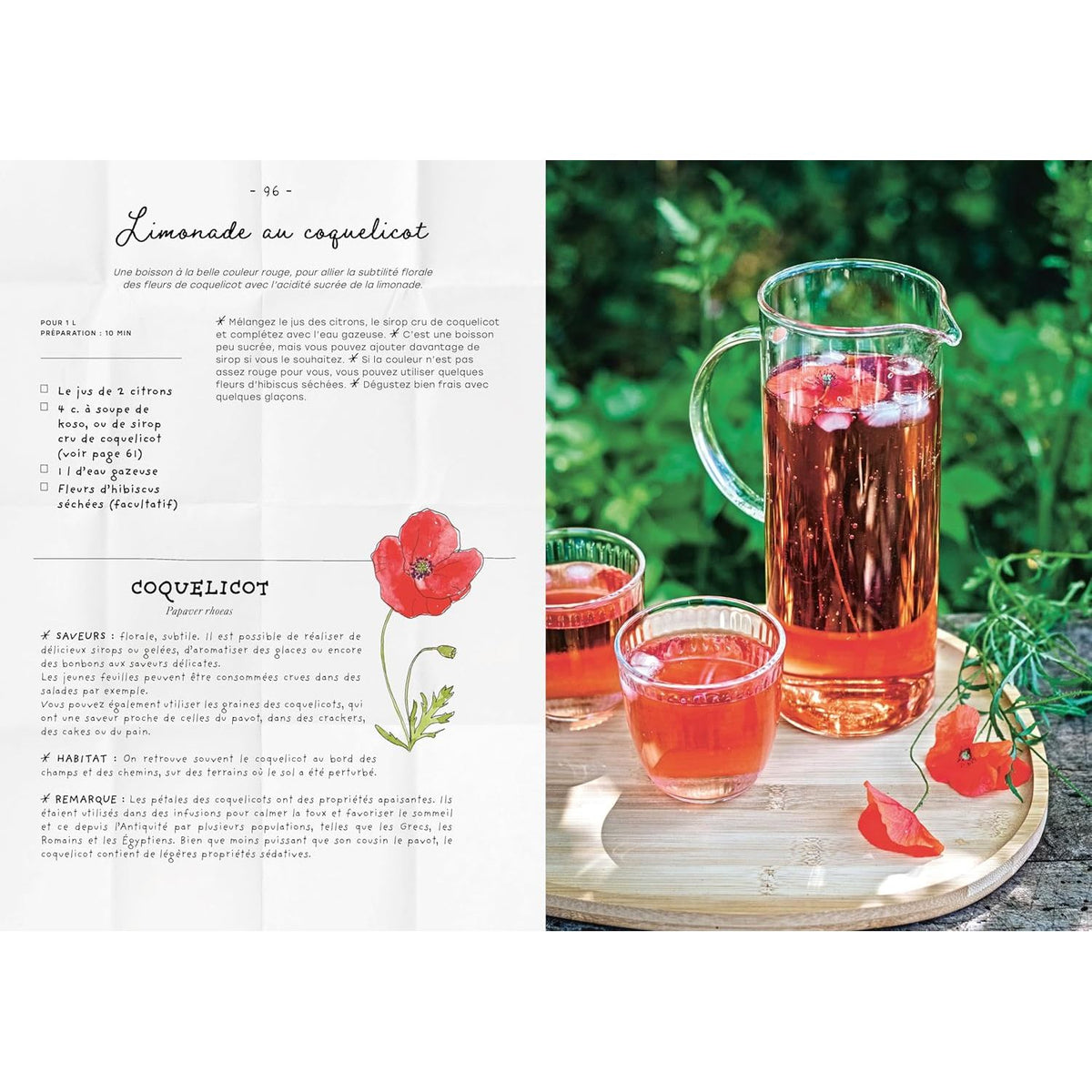 Le carnet de recettes d'une cueilleuse - La Plage Ed. - Livre de cuisine - - La Guilde Culinaire