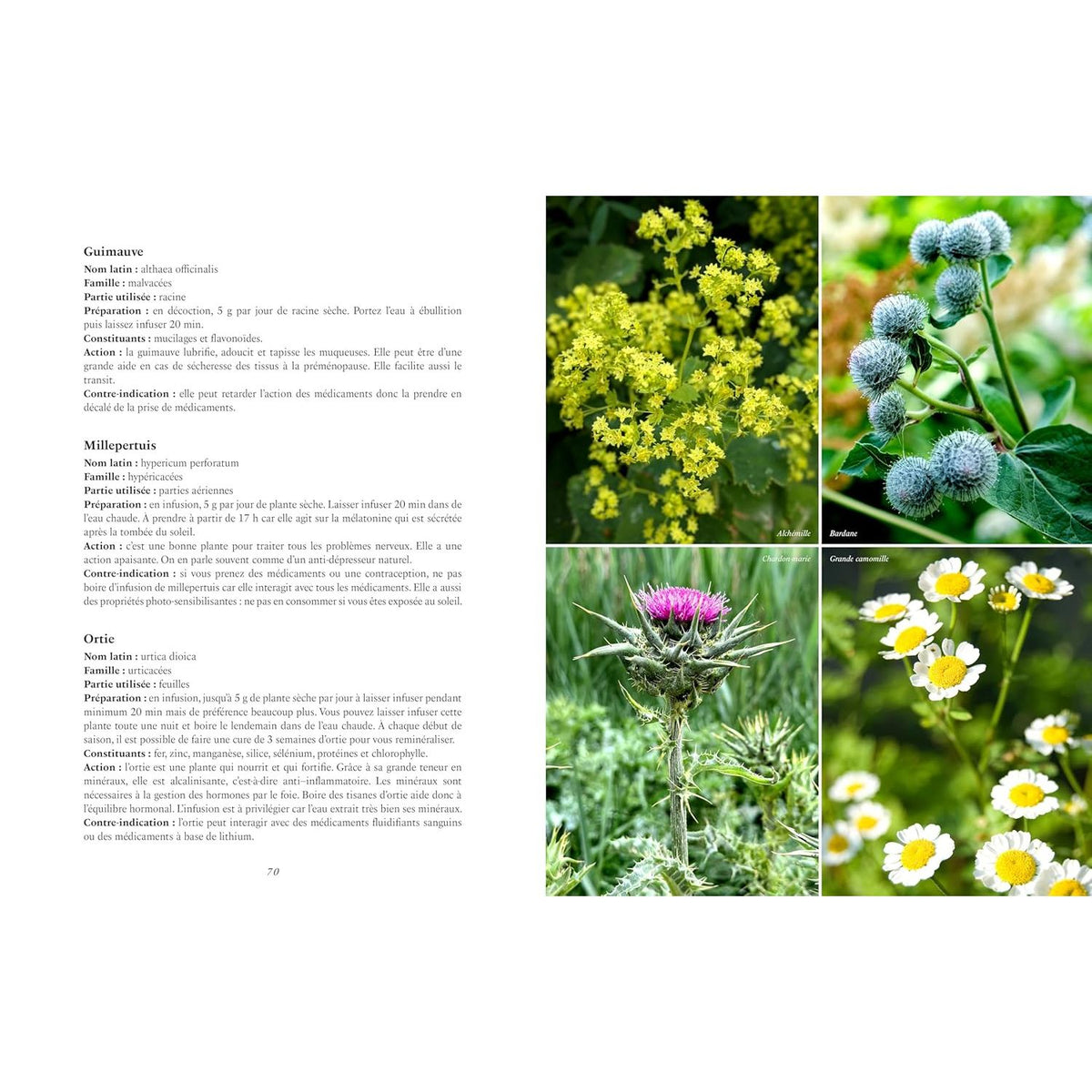 Assiettes idéales pour une ménopause au naturel * - La Plage Ed. - Livre de cuisine - - La Guilde Culinaire