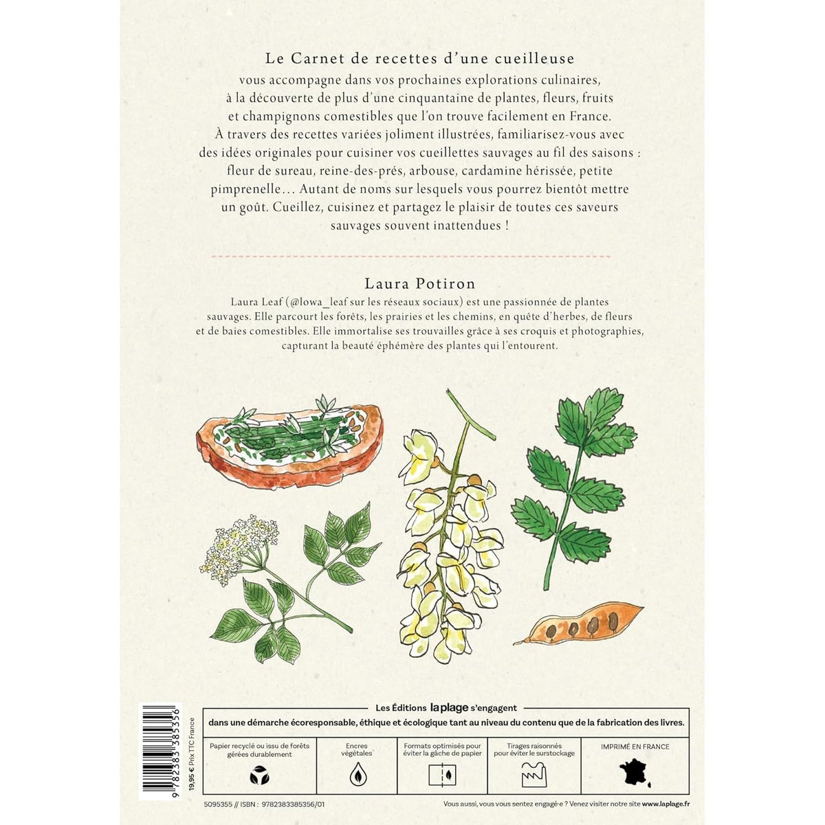 Le carnet de recettes d'une cueilleuse - La Plage Ed. - Livre de cuisine - - La Guilde Culinaire