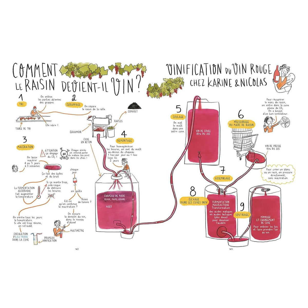 Les 4 saisons du vin ! - Hachette Ed. - Livre d'alcool et boisson - - La Guilde Culinaire
