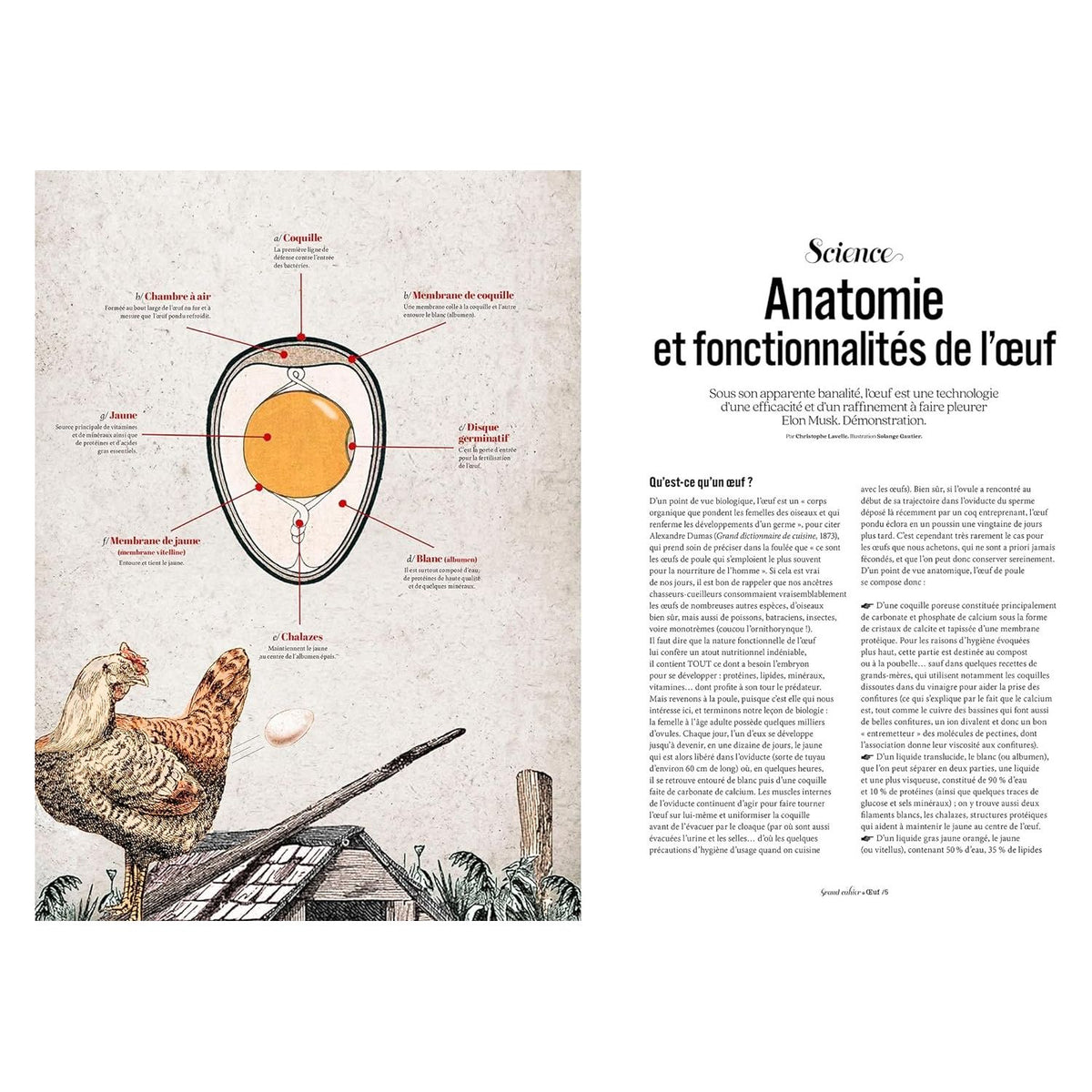 Oeuf - Hachette Ed. - Livre de cuisine - - La Guilde Culinaire