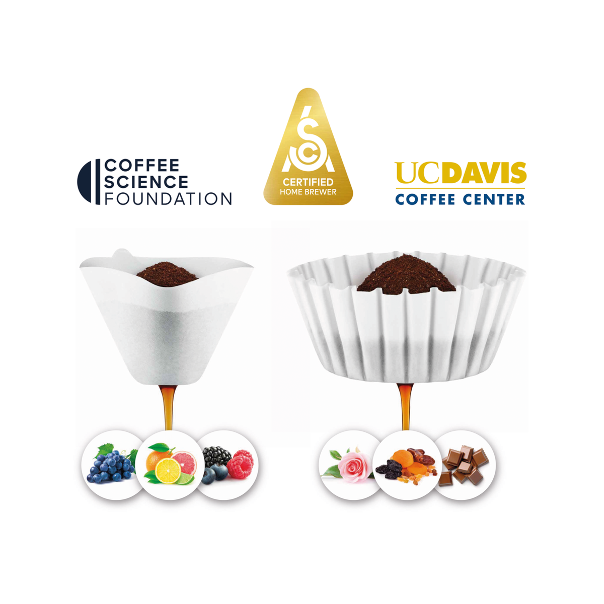 Machine à Café filtre The Luxe Brewer Glass - Breville - Cafetière à filtre - - La Guilde Culinaire