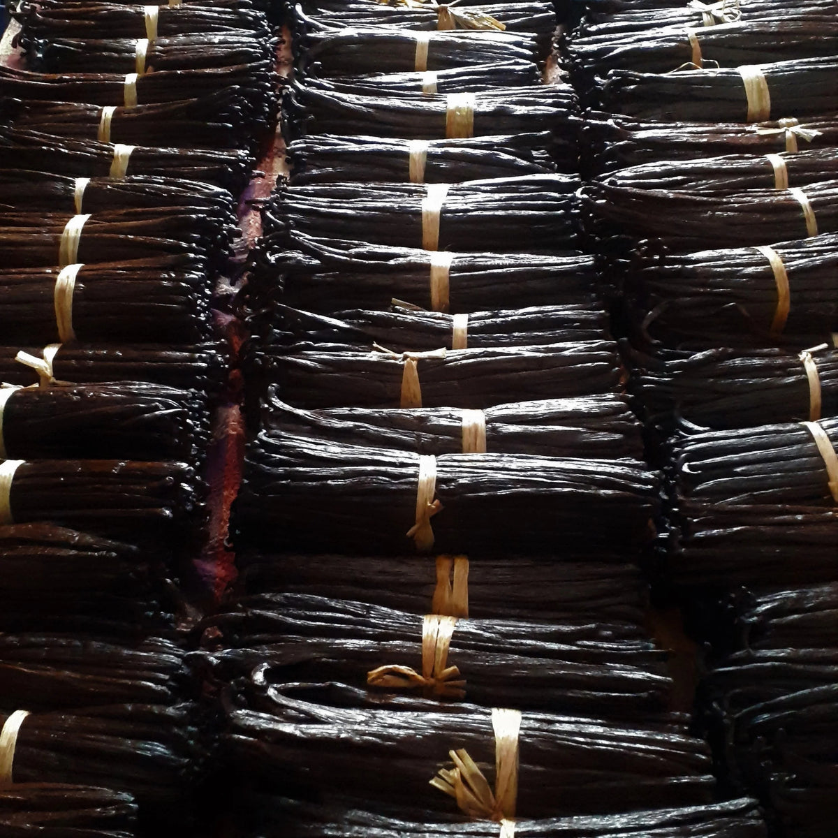 Gousses de Vanille de Madagascar - Bourbon (25g) - Colibri Vanille - Vanille - - La Guilde Culinaire