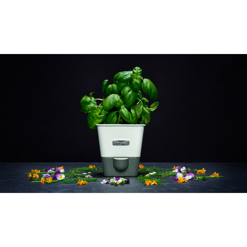 Jardinière pour fines herbes avec réservoir de Cole & Mason - Cole & Mason - Jardinière - - La Guilde Culinaire
