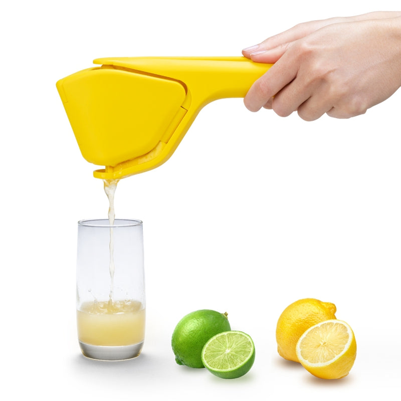 FLUICER Presse-agrumes pliable à plat - Dreamfarm - Accessoire - - La Guilde Culinaire
