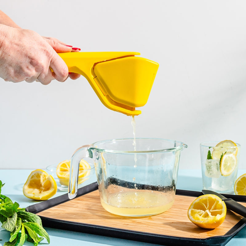 FLUICER Presse-agrumes pliable à plat - Dreamfarm - Accessoire - - La Guilde Culinaire
