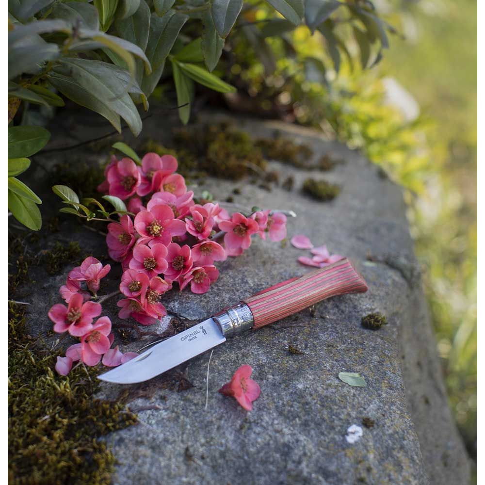 Opinel - N°08 Bouleau Lamellé Rouge - Opinel - Couteau de poche - - La Guilde Culinaire