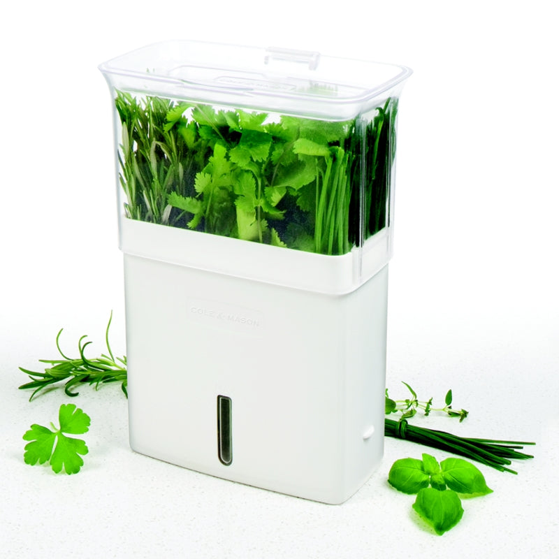 Grande jardinière pour herbes coupées - Cole & Mason - Jardinière - - La Guilde Culinaire