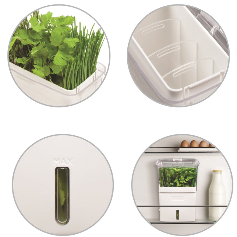 Grande jardinière pour herbes coupées - Cole & Mason - Jardinière - - La Guilde Culinaire