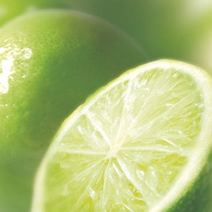 Purée de Citron Vert Surgelé 1kg - Ravifruit - Purée de fruit - - La Guilde Culinaire