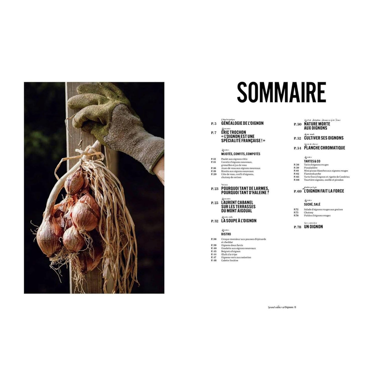 Les Grands Cahiers 180°C : Oignon - Hachette Ed. - Livre de cuisine - - La Guilde Culinaire