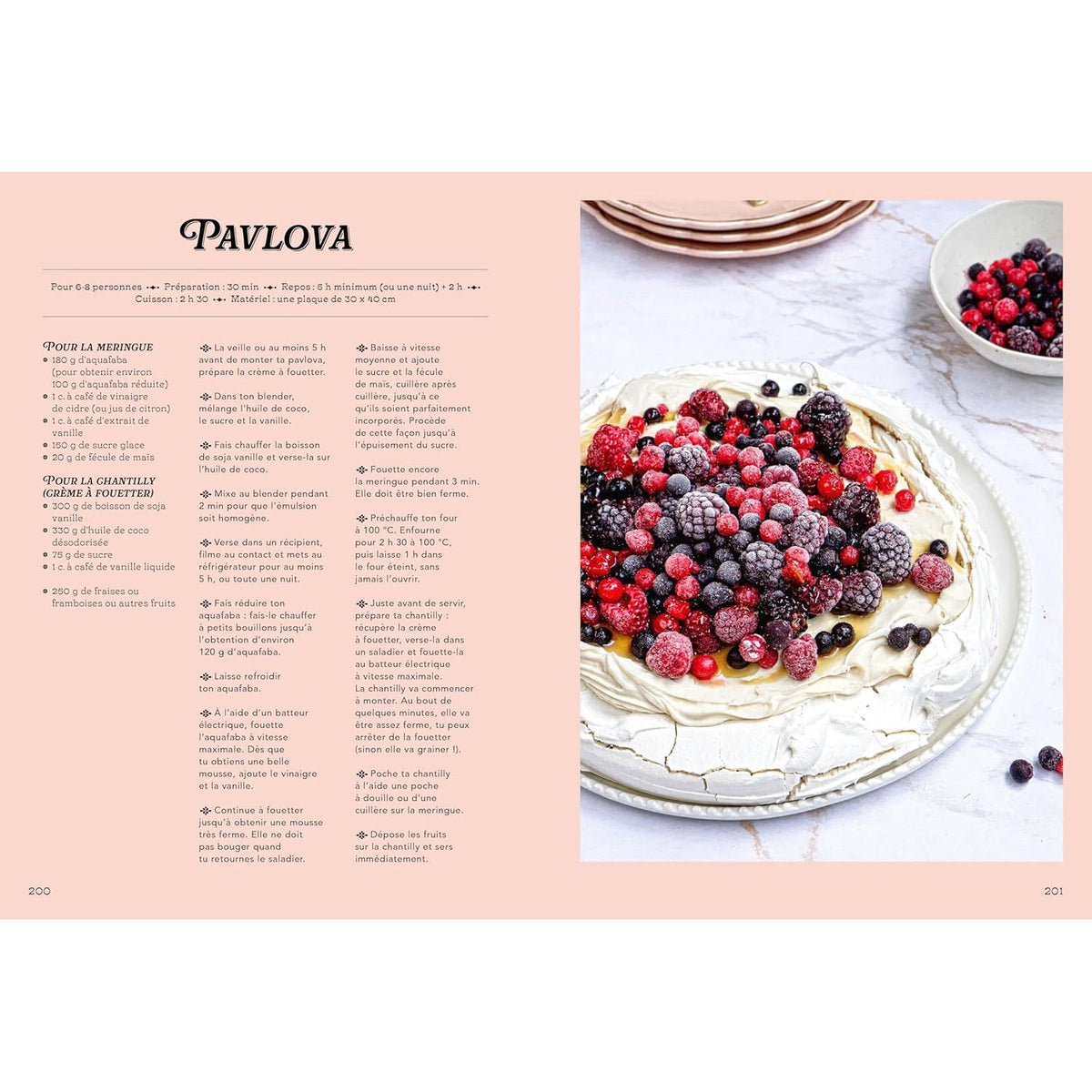Le Grand Livre des Gâteaux de Famille - La Plage Ed. - Livre de cuisine - - La Guilde Culinaire