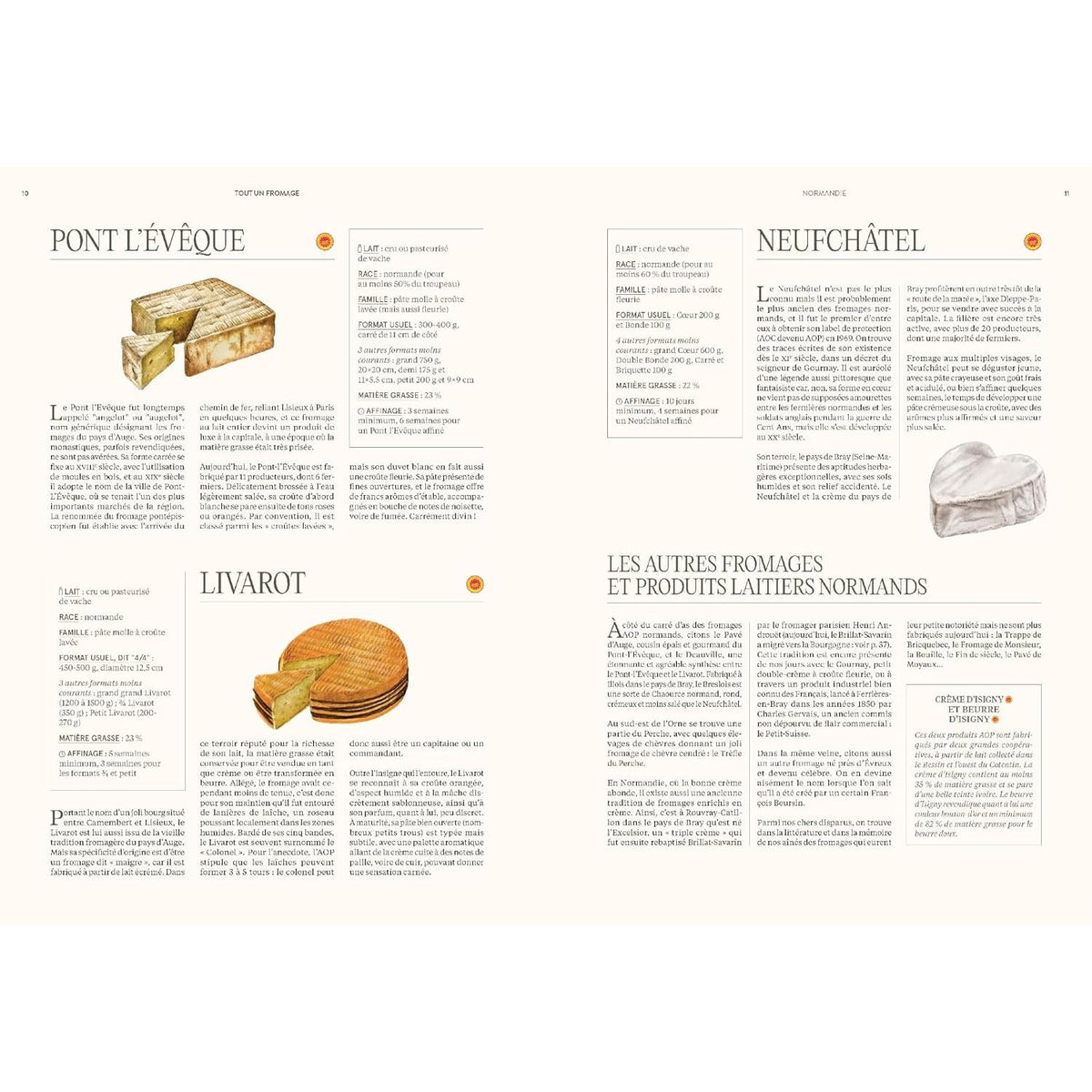 Tout un fromage : L'encyclopédie calée et décalée du fromage - Hachette Ed. - Livre de cuisine - - La Guilde Culinaire