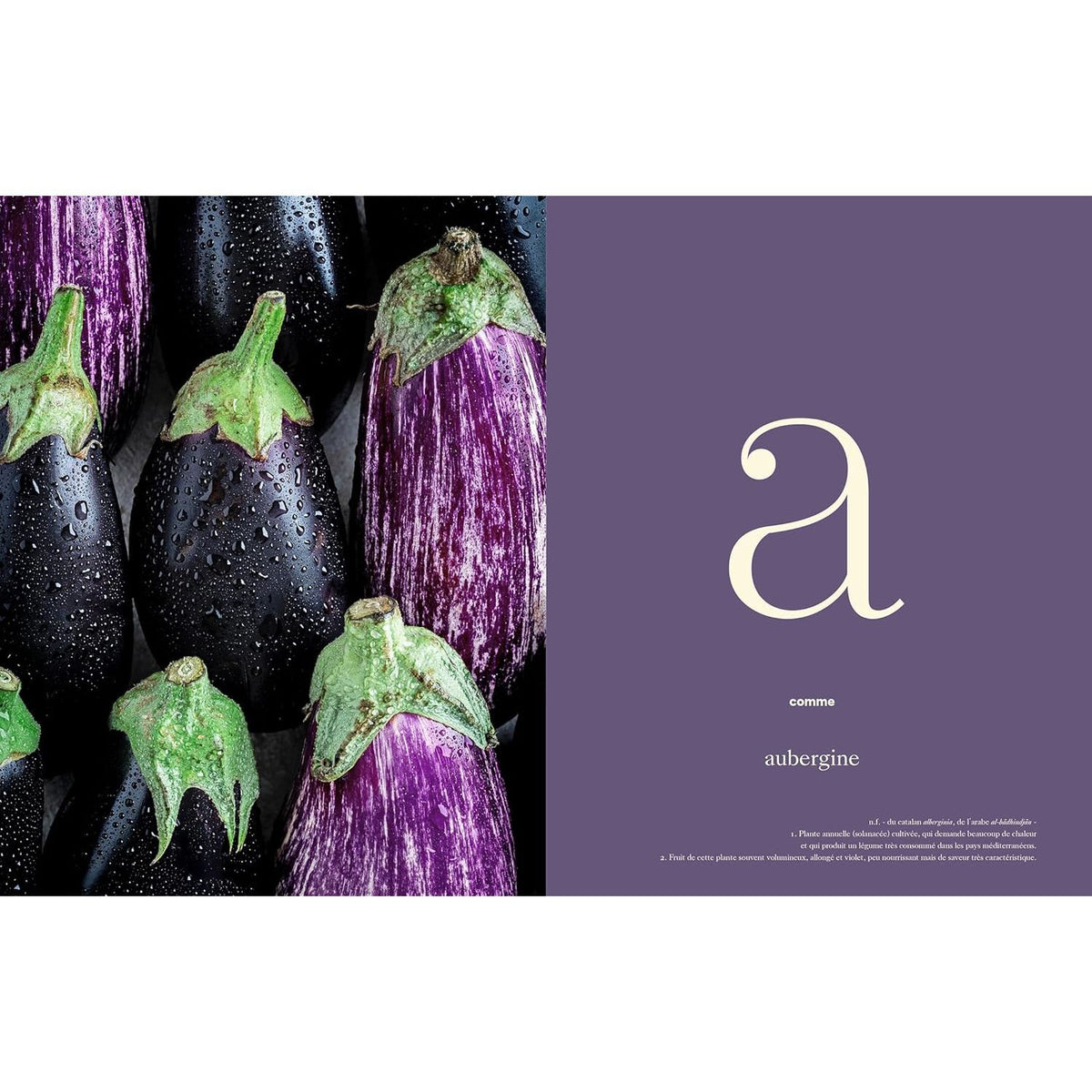 Obsessions végétales    - Hachette Ed. - Livre de cuisine -  - La Guilde Culinaire