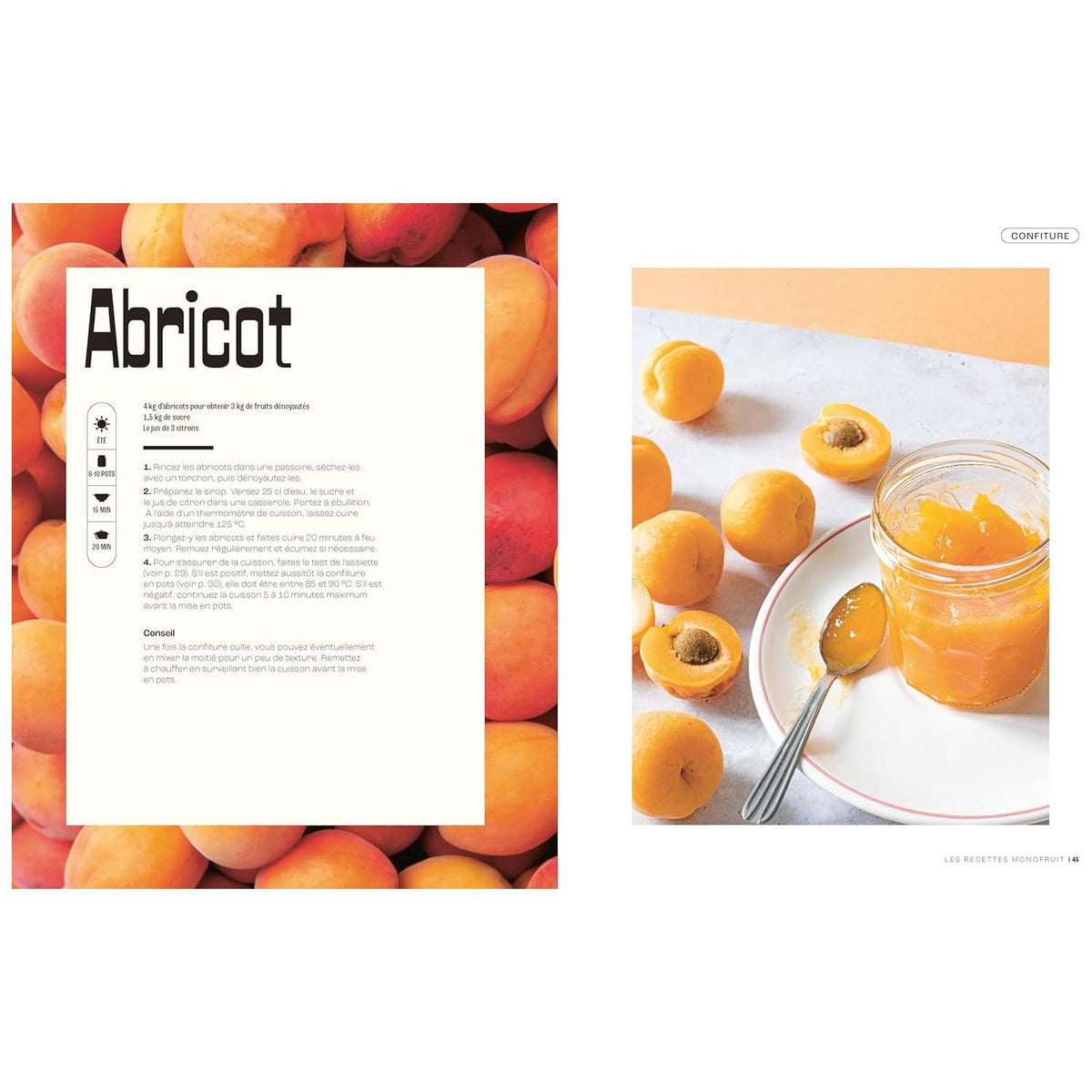 La bible de la confiture    - Marabout - Livre de cuisine -  - La Guilde Culinaire