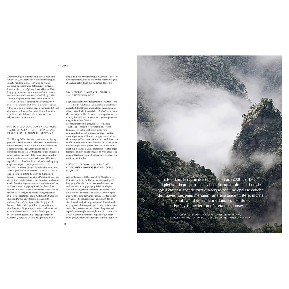 Qi Gong: Renforcez votre énergie vitale    - Hachette Ed. - Livre de cuisine -  - La Guilde Culinaire