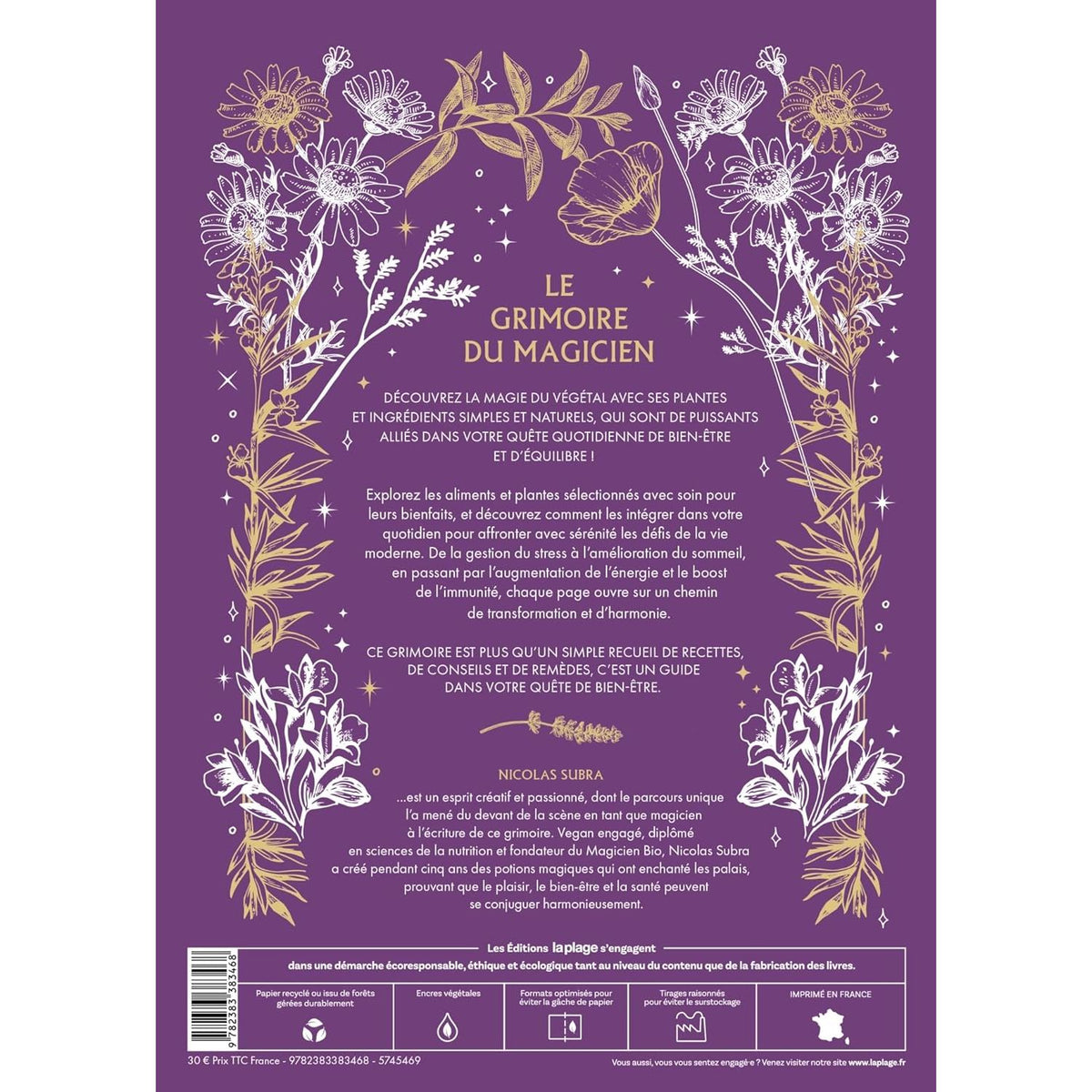 Le grimoire du magicien    - La Plage Ed. - Livre de cuisine -  - La Guilde Culinaire