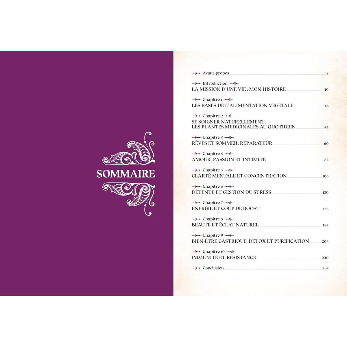Le grimoire du magicien    - La Plage Ed. - Livre de cuisine -  - La Guilde Culinaire