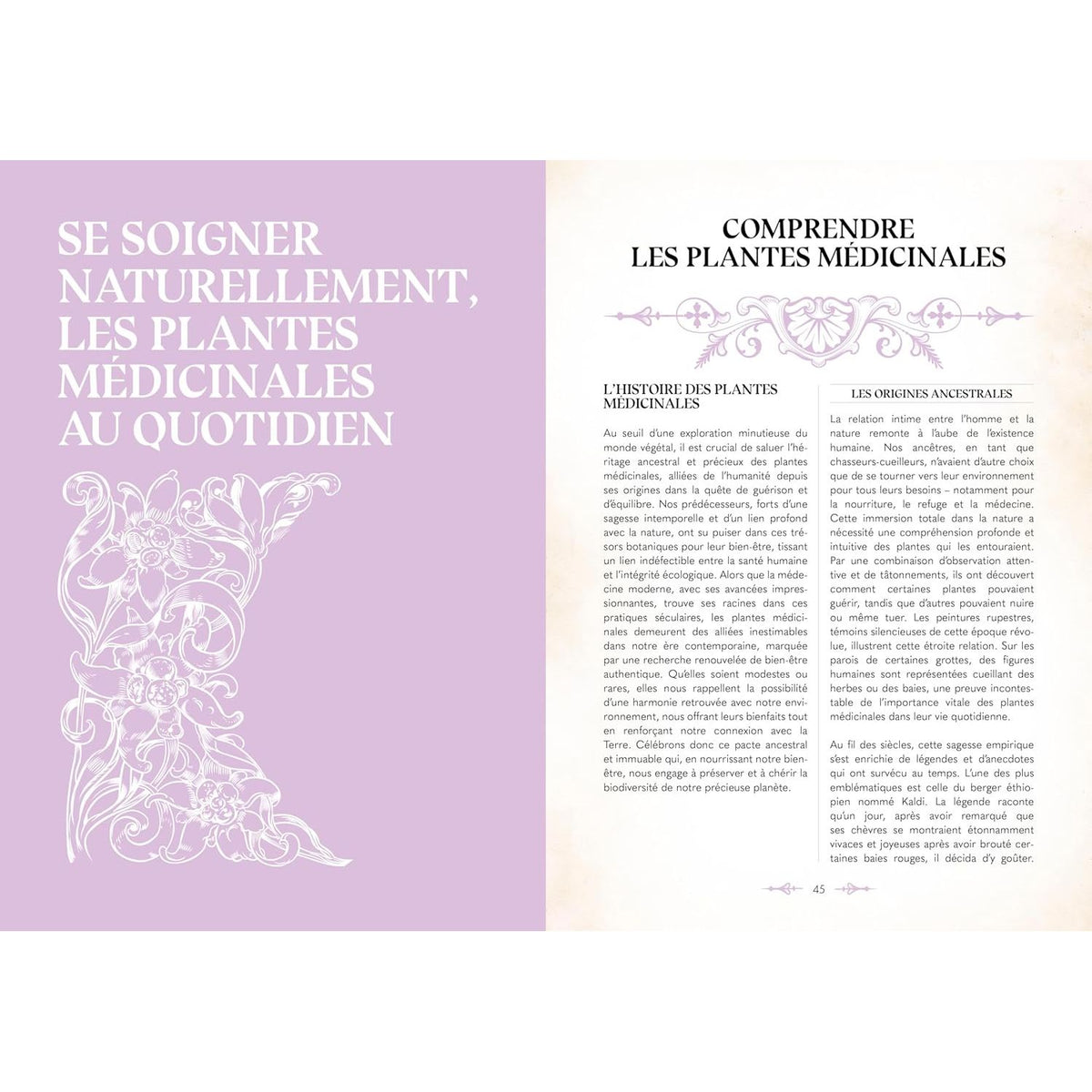 Le grimoire du magicien    - La Plage Ed. - Livre de cuisine -  - La Guilde Culinaire