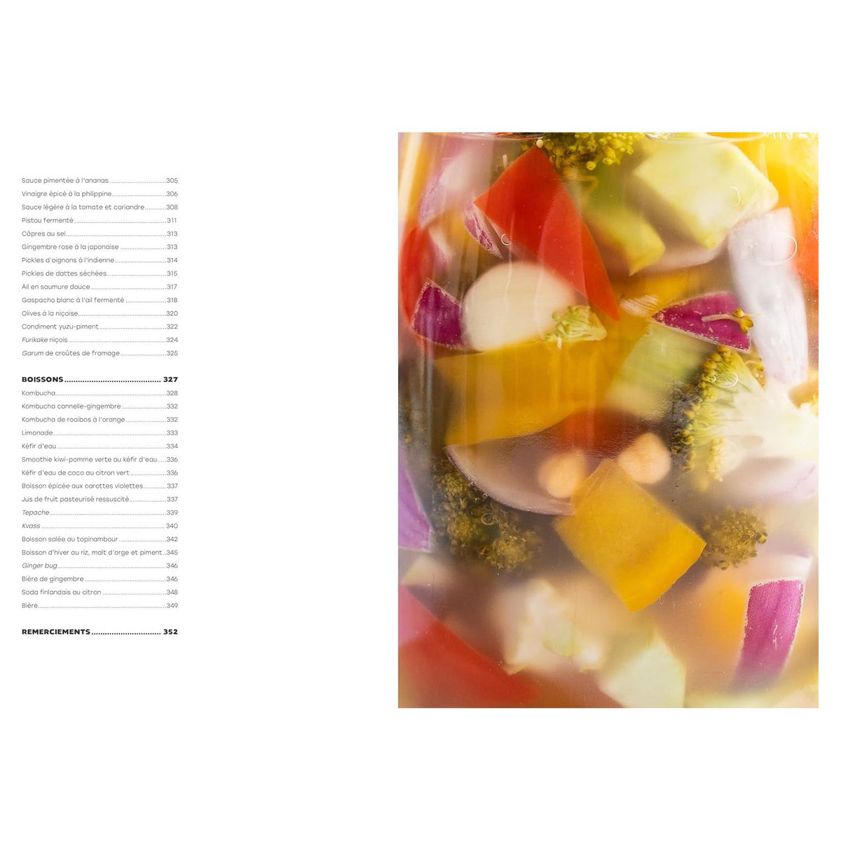 L'art de la fermentation : L'encyclopédie gourmande    - La Plage Ed. - Livre de cuisine -  - La Guilde Culinaire