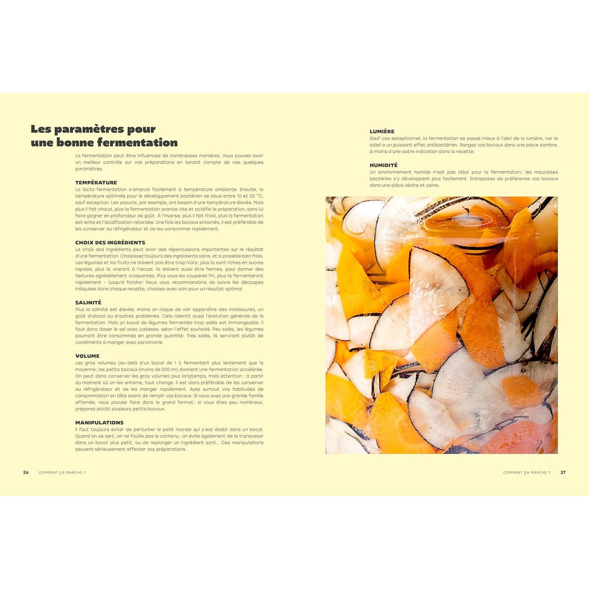 L'art de la fermentation : L'encyclopédie gourmande    - La Plage Ed. - Livre de cuisine -  - La Guilde Culinaire