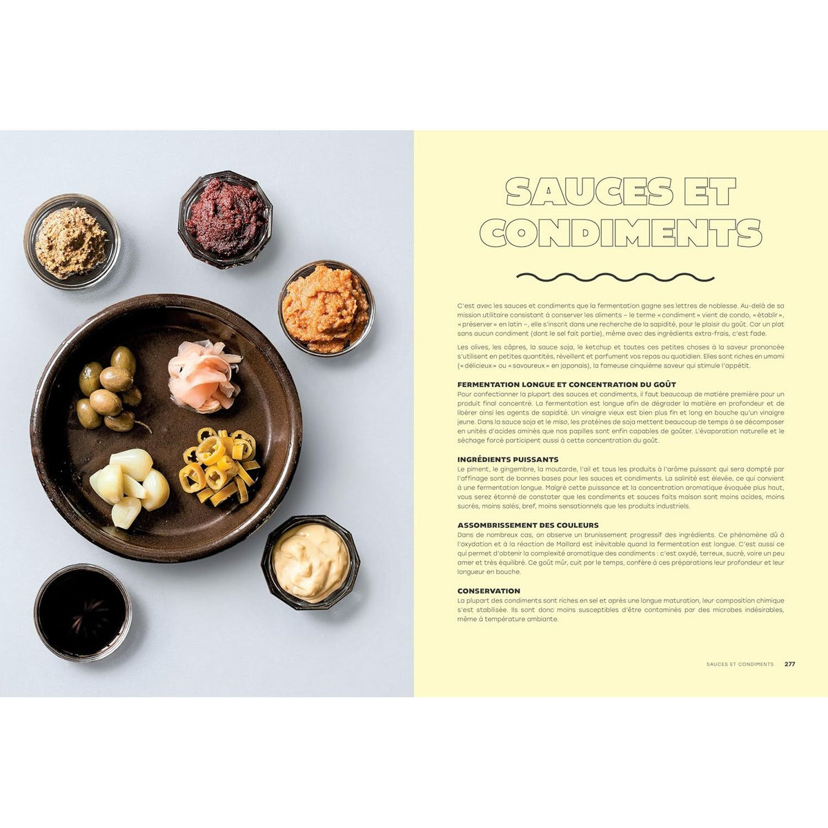 L'art de la fermentation : L'encyclopédie gourmande    - La Plage Ed. - Livre de cuisine -  - La Guilde Culinaire