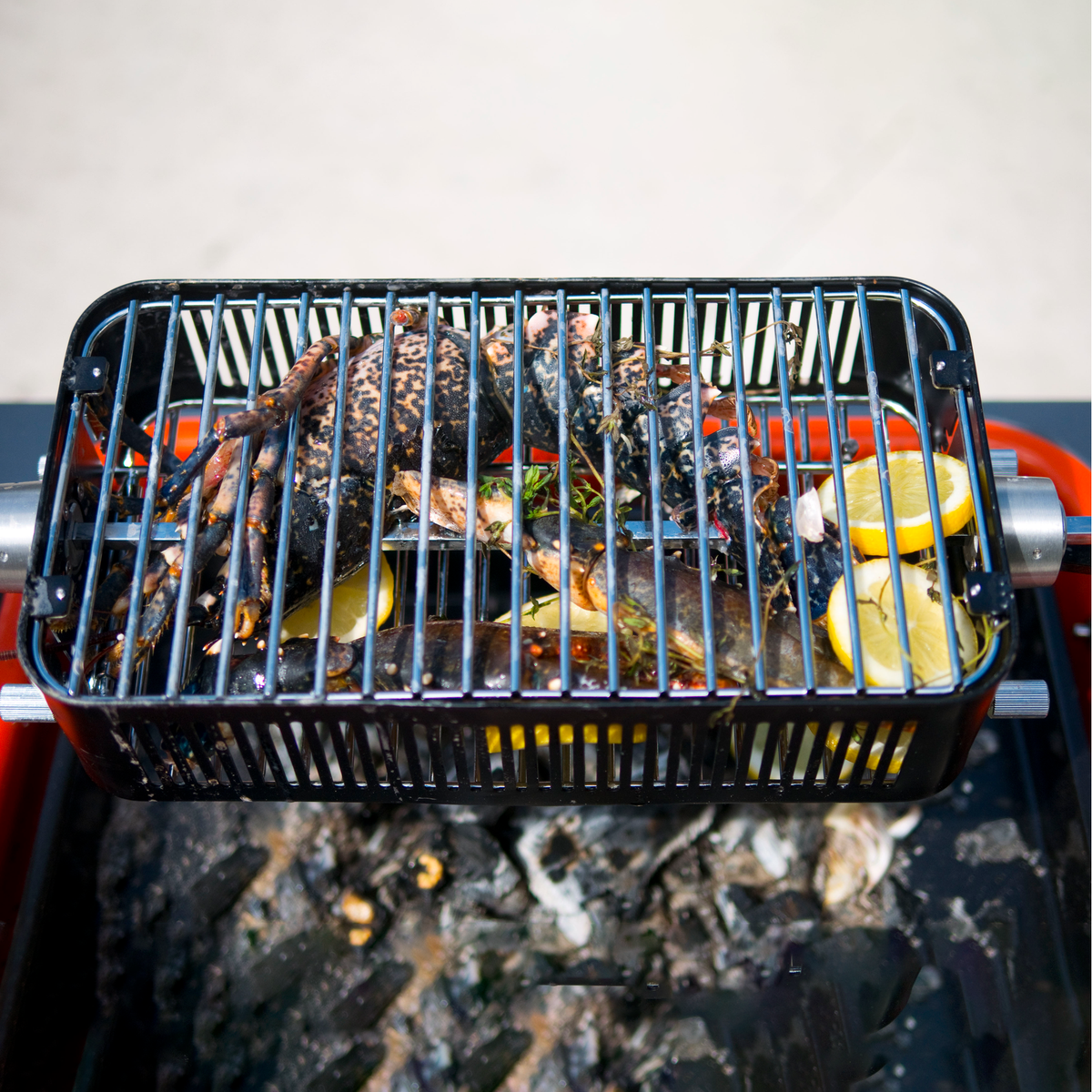 Cage de rôtissoire - Everdure    - Everdure - Rôtissoire -  - La Guilde Culinaire