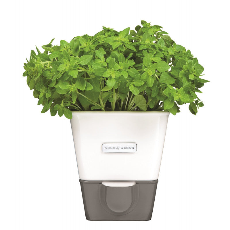 Jardinière pour fines herbes avec réservoir de Cole & Mason    - Cole & Mason - Jardinière -  - La Guilde Culinaire