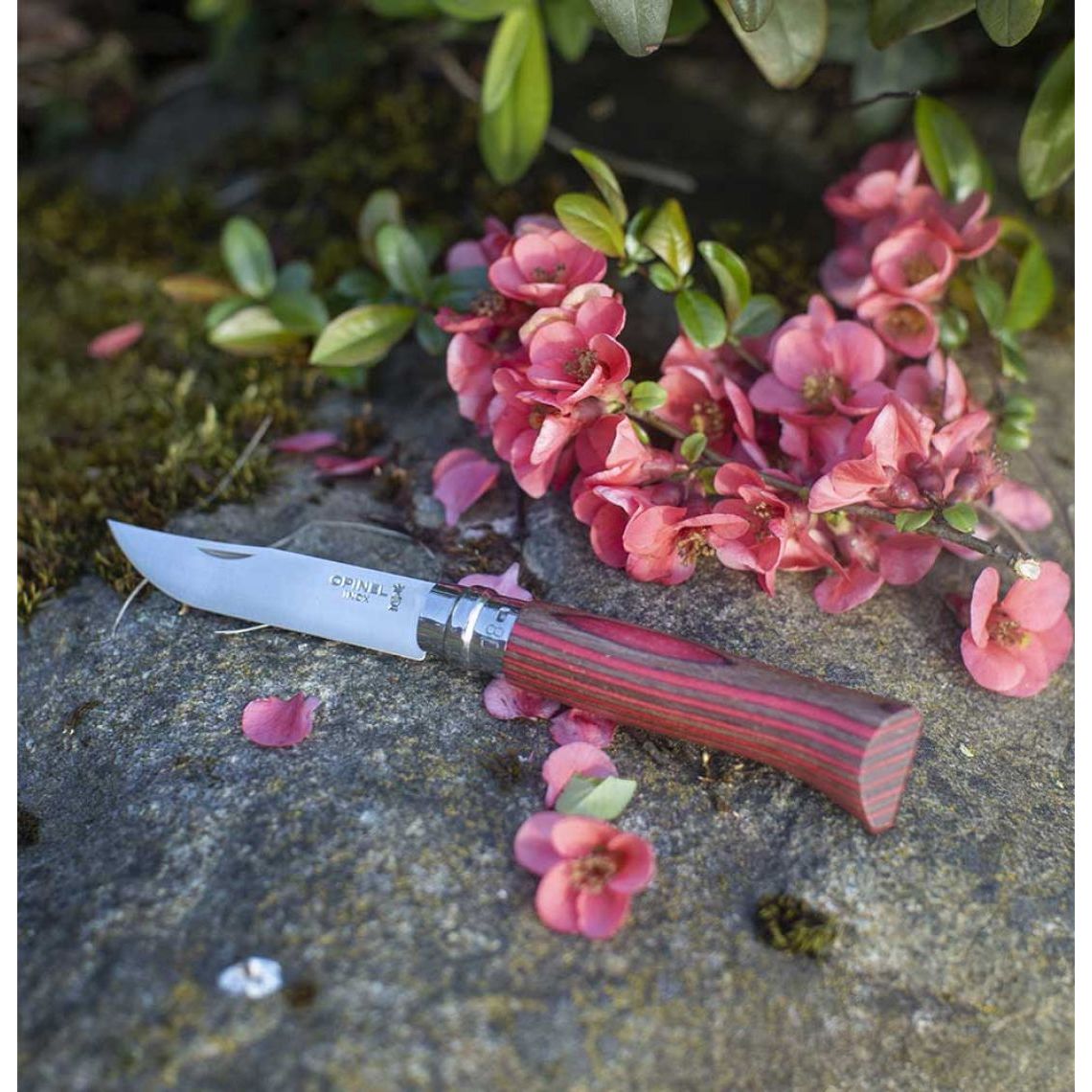 Opinel - N°08 Bouleau Lamellé Rouge    - Opinel - Couteau de poche -  - La Guilde Culinaire