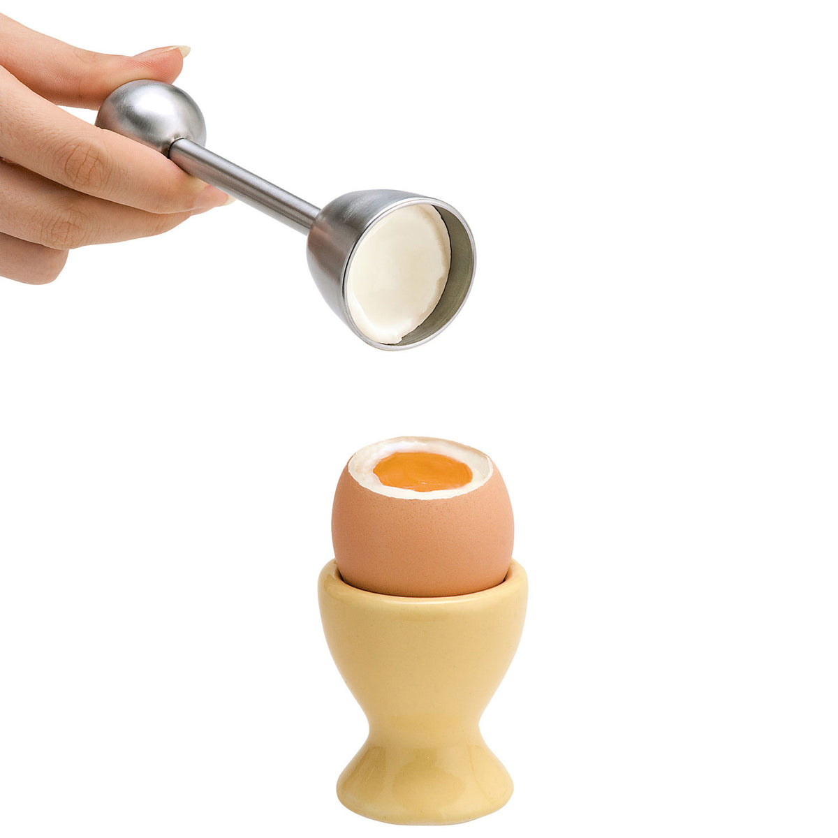 Toqueur à œuf de caille en acier inoxydable    - La Guilde Culinaire - Toqueur à œuf -  - La Guilde Culinaire