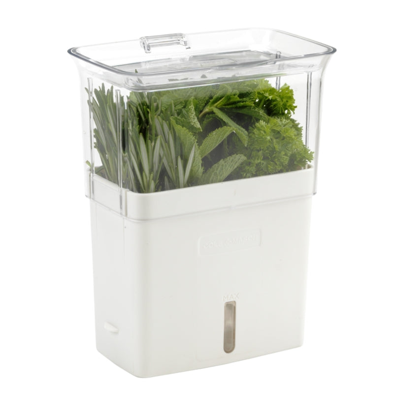 Grande jardinière pour herbes coupées    - Cole & Mason - Jardinière -  - La Guilde Culinaire
