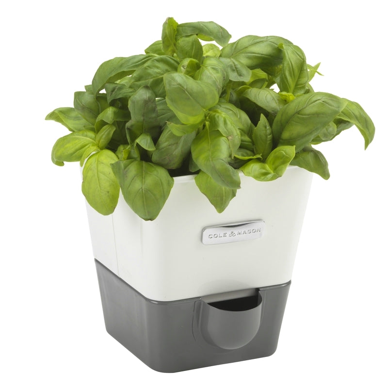 Jardinière pour fines herbes avec réservoir de Cole & Mason    - Cole & Mason - Jardinière -  - La Guilde Culinaire