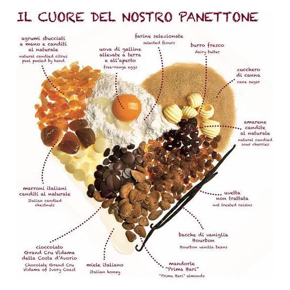 Panettone aux griottes confites 500g    - Filippi Pâtisserie - Panettone -  - La Guilde Culinaire